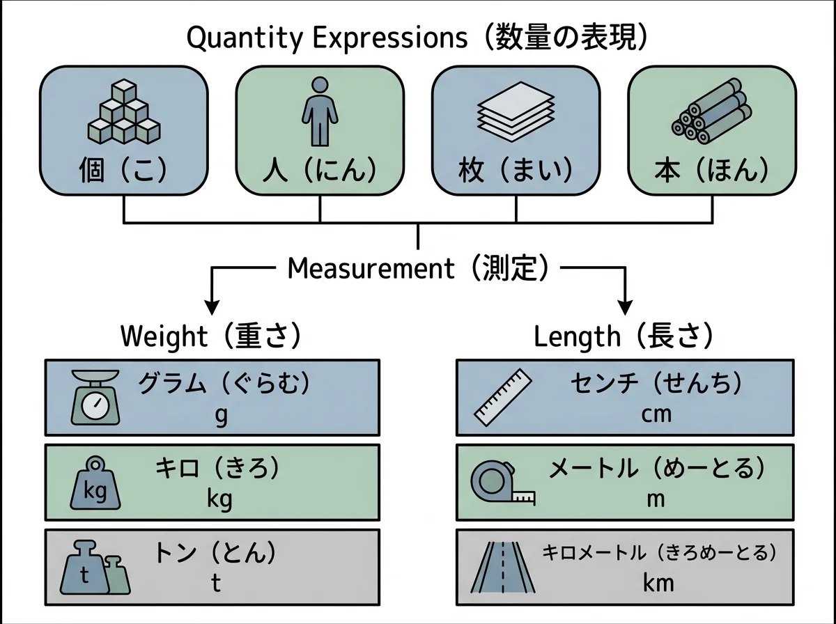 數量表達