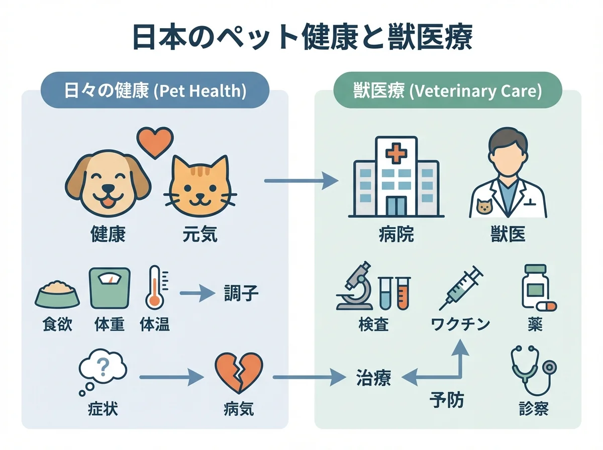 寵物健康